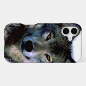 Wolf-Porträt iPhone Hülle (Rückseite (Horizontal))