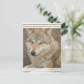 Wolf Postcard Postkarte (Stehend Vorderseite)