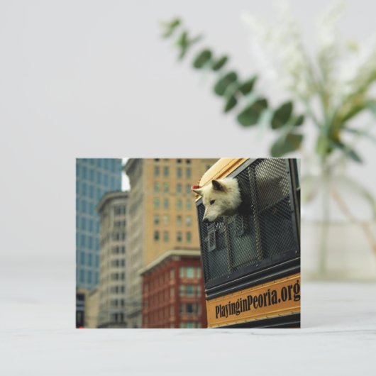 Wolf Postcard Postkarte (Stehend Vorderseite)