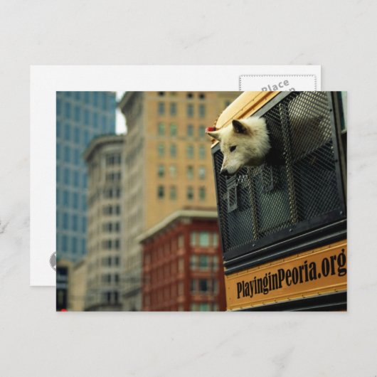 Wolf Postcard Postkarte (Vorne/Hinten)