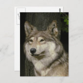 Wolf Postcard Postkarte (Vorne/Hinten)