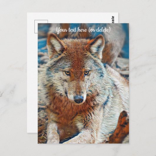 Wolf Postcard Postkarte (Vorne/Hinten)