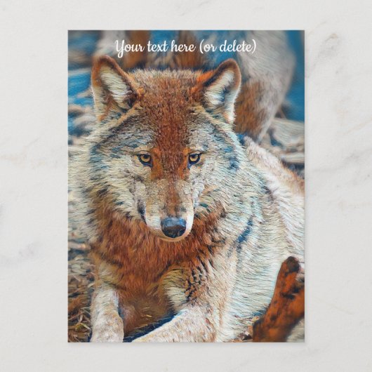 Wolf Postcard Postkarte (Vorderseite)