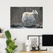 Wolf Poster (Heimbüro)