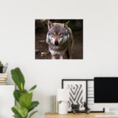 Wolf Poster (Heimbüro)