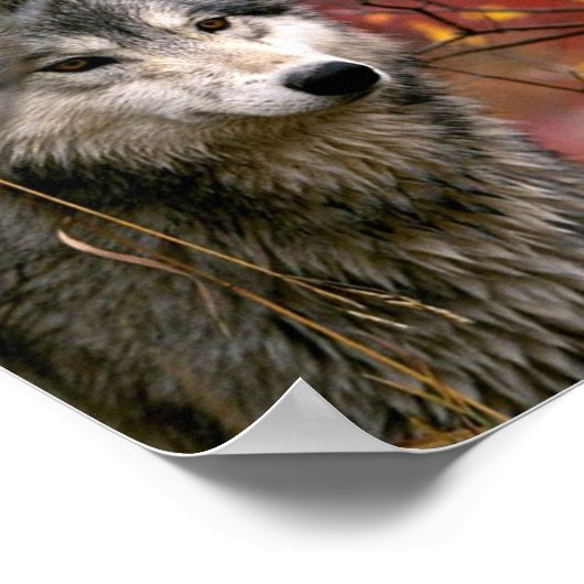 Wolf Poster (Ecke)