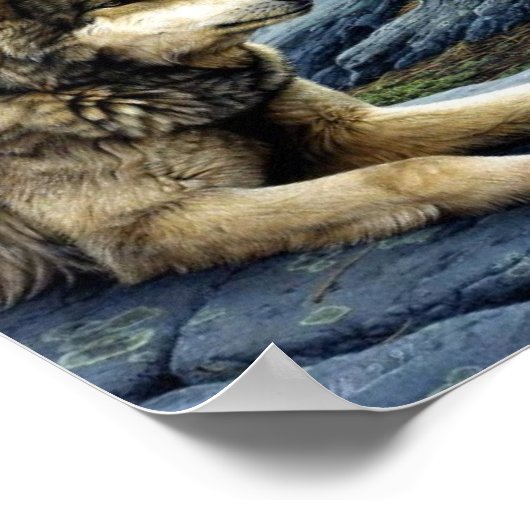 Wolf Poster (Ecke)