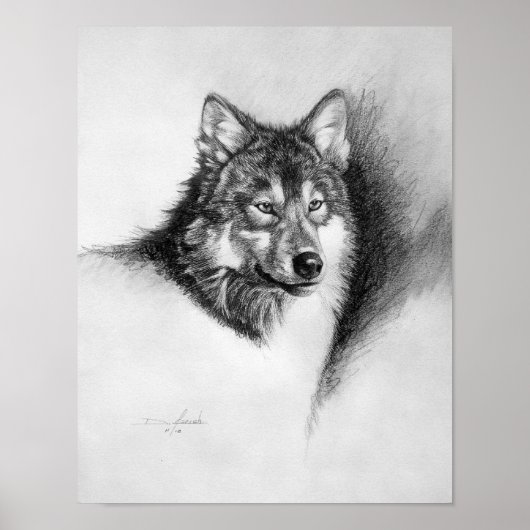 Wolf Poster (Vorne)