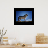 Wolf Poster (Küche)