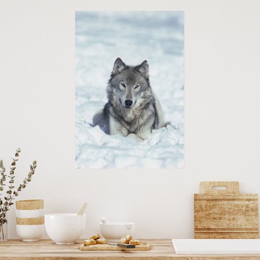 Wolf Poster (Küche)