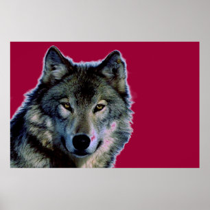 Wolf Poster