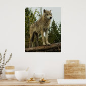 Wolf Poster (Küche)