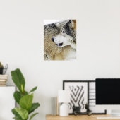 Wolf Poster (Heimbüro)