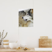 Wolf Poster (Küche)
