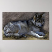 Wolf Poster (Vorne)