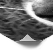 Wolf Poster (schwarz & weiß) (Ecke)