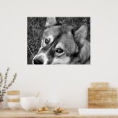 Wolf Poster (schwarz & weiß) (Küche)