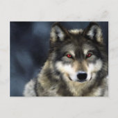 Wolf Postkarte (Vorderseite)