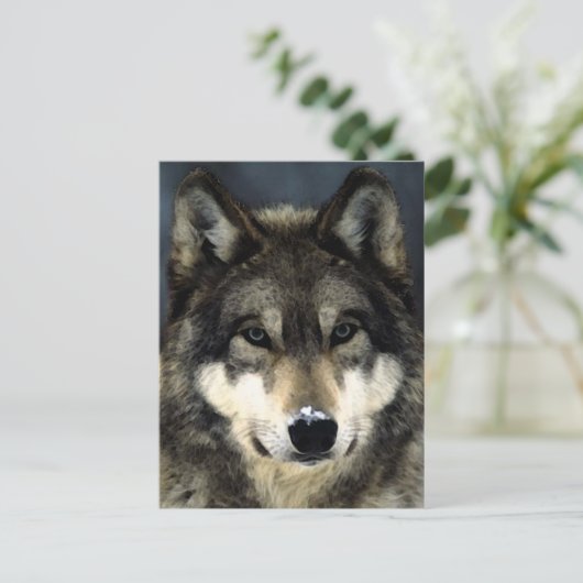 Wolf Postkarte (Stehend Vorderseite)