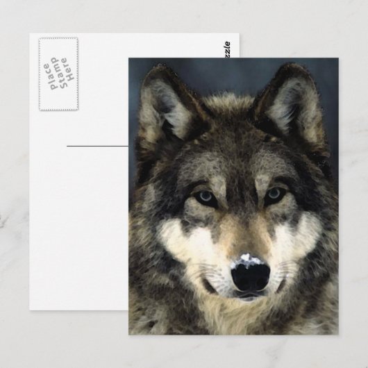Wolf Postkarte (Vorne/Hinten)