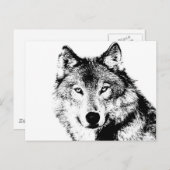 Wolf Postkarte (Vorne/Hinten)