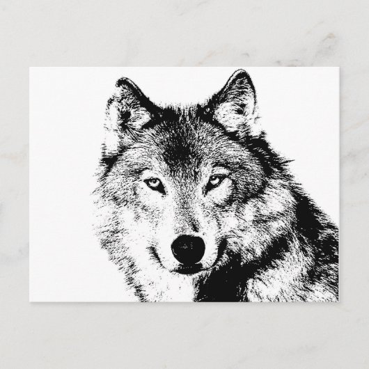 Wolf Postkarte (Vorderseite)