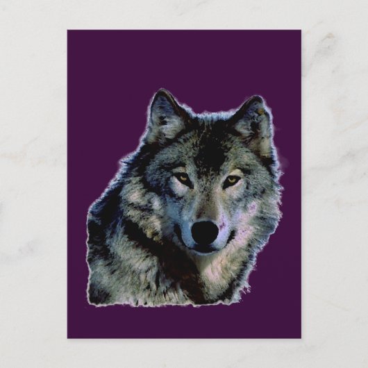 Wolf Postkarte (Vorderseite)