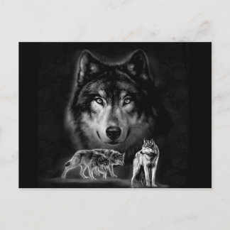 Wolf Postkarte