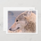 Wolf Postkarte (Vorne/Hinten)