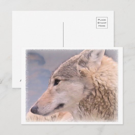 Wolf Postkarte (Vorne/Hinten)