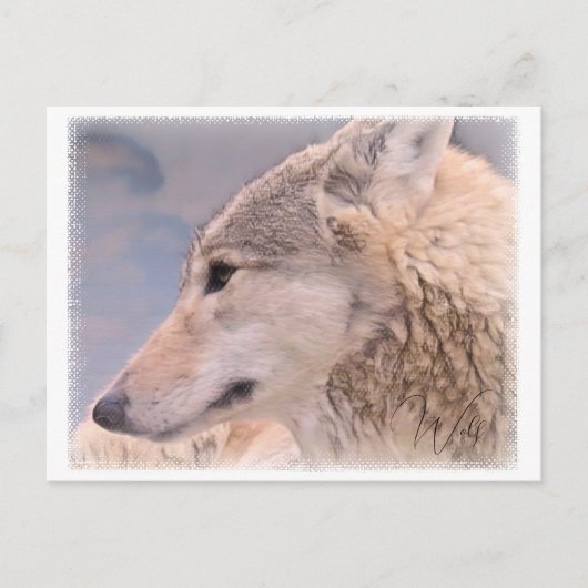 Wolf Postkarte (Vorderseite)