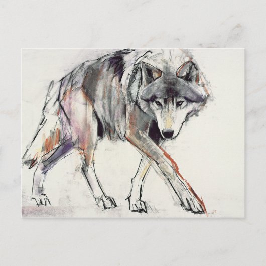 Wolf Postkarte (Vorderseite)