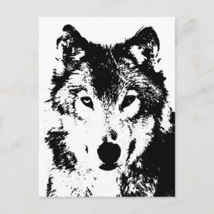 Wolf Postkarte