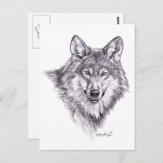Wolf Postkarte (Vorne/Hinten)