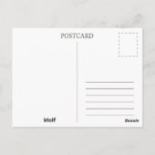 Wolf. Postkarte (Rückseite)