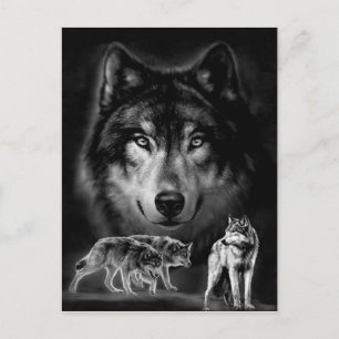 Wolf Postkarte