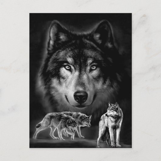 Wolf Postkarte (Vorderseite)