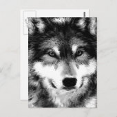 Wolf Postkarte (Vorne/Hinten)