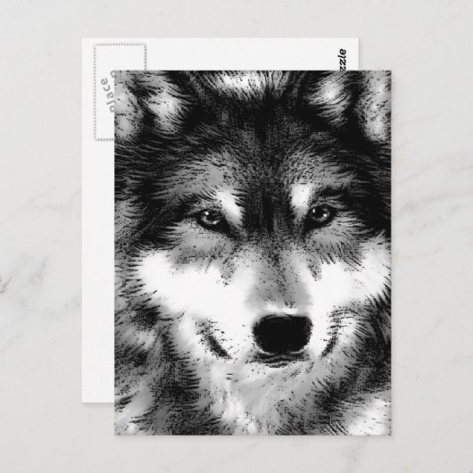Wolf Postkarte (Vorne/Hinten)