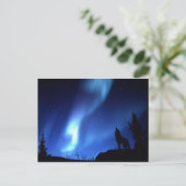 WOLF POSTKARTE (Stehend Vorderseite)