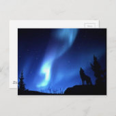 WOLF POSTKARTE (Vorne/Hinten)