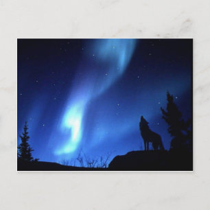 WOLF POSTKARTE