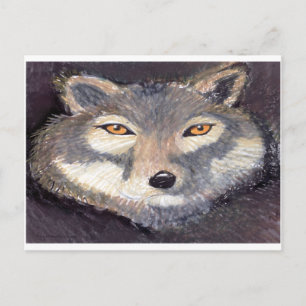 Wolf Postkarte
