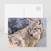 Wolf Postkarte (Vorne/Hinten)