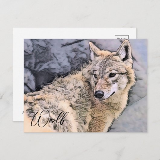Wolf Postkarte (Vorne/Hinten)