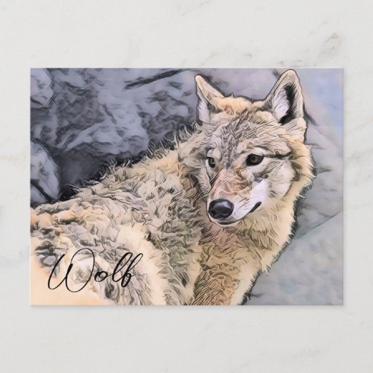Wolf Postkarte (Vorderseite)