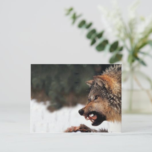 Wolf Postkarte (Stehend Vorderseite)