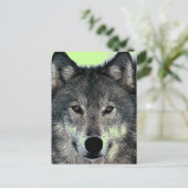 Wolf Postkarte (Stehend Vorderseite)