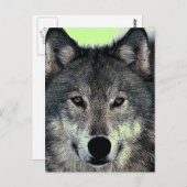 Wolf Postkarte (Vorne/Hinten)
