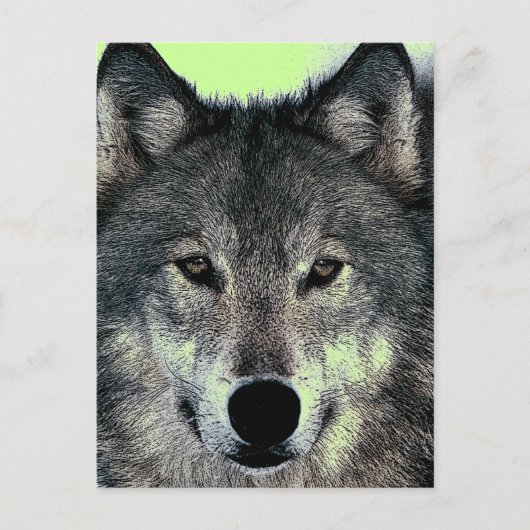 Wolf Postkarte (Vorderseite)
